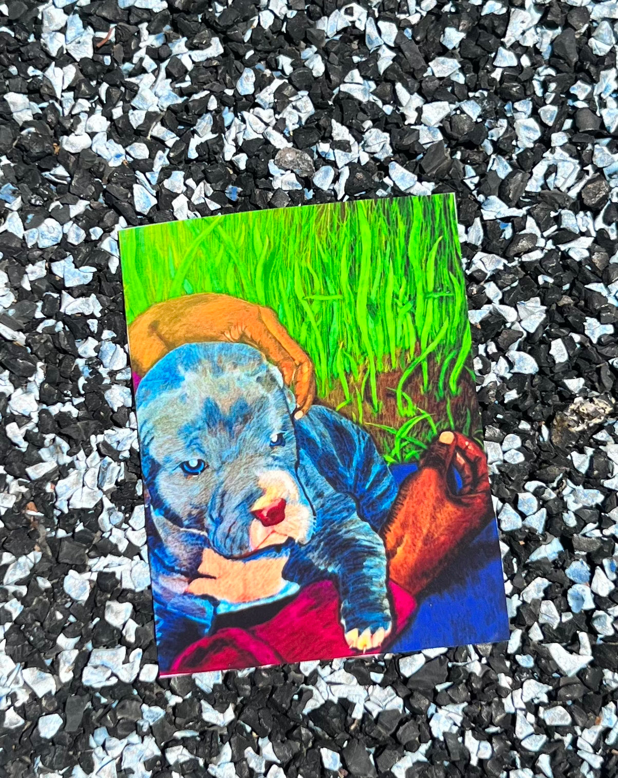 Pit bull Sticker
