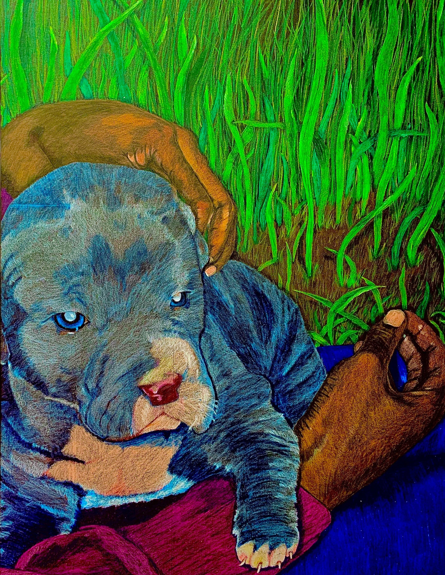 Pitbull Premium Fine Art Print