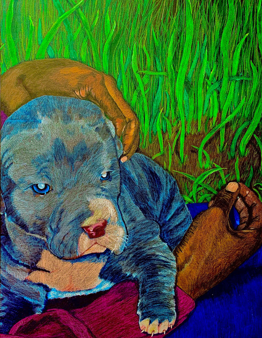 Pitbull Premium Fine Art Print